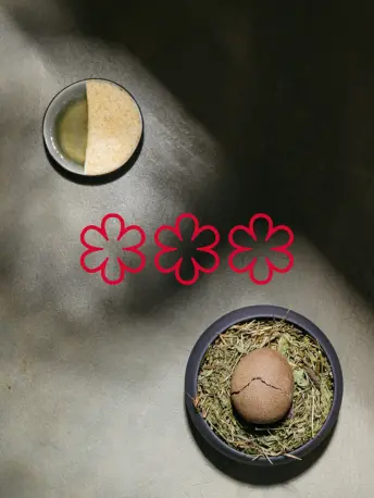 Michelin Guide 2026 is out: JAZ Ljubljana stays in Michelin Selection and Hiša Franko defends three stars